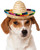 Sombrero Pet Cinco de Mayo dog cat animal halloween costume funny clothes