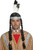 Native American Indian Maiden Wig - Black Adult Unisex Costume Accessory