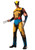 X-Men Wolverine Comic Deluxe Muscle Adult Costume