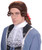 Colonial Mens Adult Judge Soldier Renaissance Halloween Costume Wig