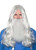 Halloween Costume Long Grey Wizard Synthetic Wig and Beard set