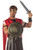 California Costumes Gladiator Spartan Combat Shield And Sword Costume Accessory