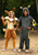 Disguise Deluxe Kid's Pokemon Umbreon Hooded Costume with Ears & Tail | Boys & Girls Pokemon Eeveelutions Cosplay Outfit, Size 4-6