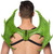HMS Supersoft Mini Dragon Wings Adult Costume, Green, One Size