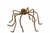 Brown  90" Posable Spider