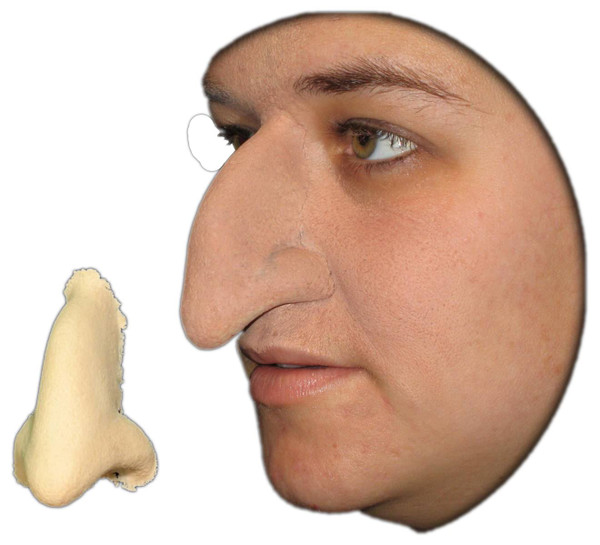 Witch Nose Wicked foam latex prosthetic theater appliance