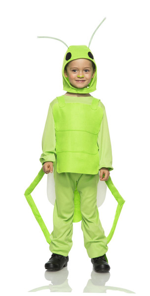 Kids Flying Grasshopper Costume Child Size