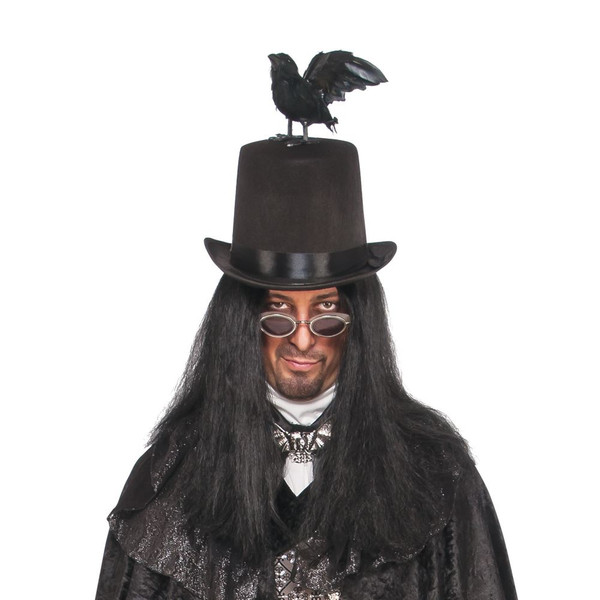 Raven top hat with Black bird