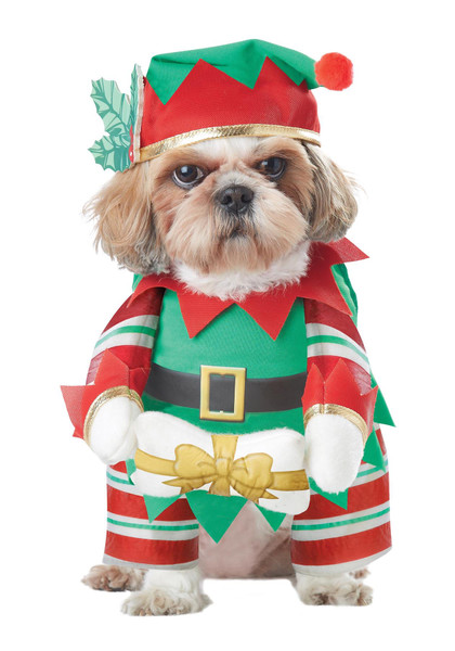 California Costumes Elf Pup Dog Costume