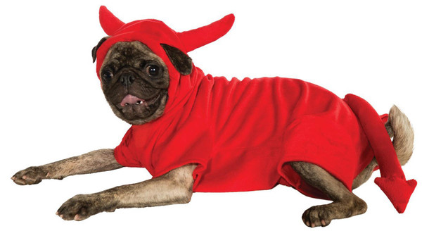 Devil Dawg Pet Dog Cat Lucifer Red Halloween Costume Hoodie