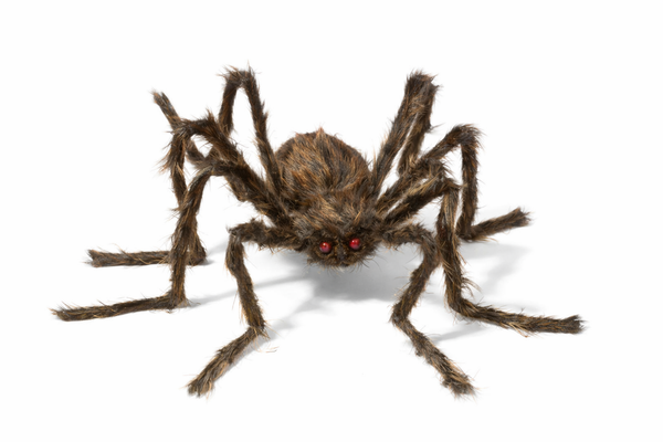 Brown  50" Posable Hairy Spider