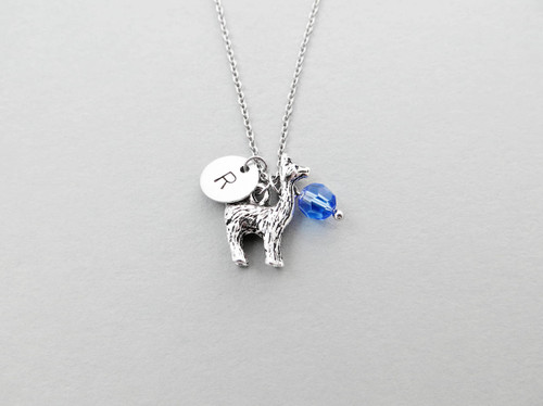 llama initial charm