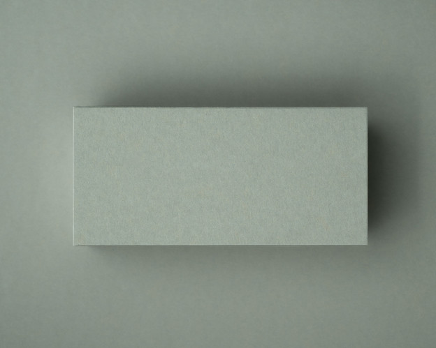A blank Sage Green flat place card shown on a matching background, highlighting the clean finish and natural green tone of the 300gsm card.