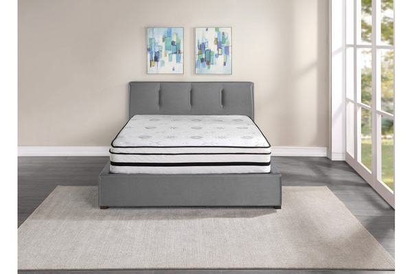 12'' Hybrid-Vela Collection