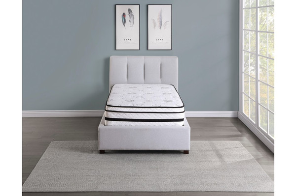 12'' Hybrid-Vela Collection