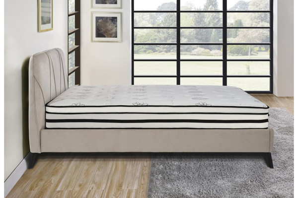 12'' Hybrid-Vela Collection