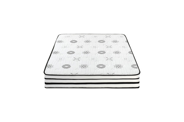 12'' Hybrid-Vela Collection