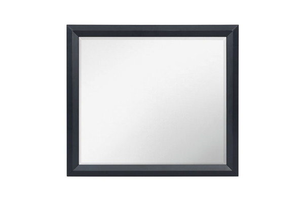 Bedroom-Rosemont Collection Mirror