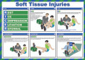 Soft Tissue Injuries Poster