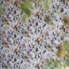 Designers Guild Pahari Wallpaper Platinum PDG1128/02