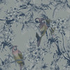 Ted Baker Macaw Wallpaper - ED13086 - Blue / Yellow / Pink