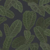 Ted Baker Piner Wallpaper - ED13126 - Navy Blue / Green