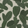 Ted Baker Piner Wallpaper - ED13128 - Taupe / Green