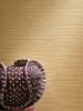 Casamance Zostera Wallpaper - 75972446 - Amande