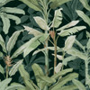 Graham & Brown Borneo Wallpaper - 118032 - Emerald