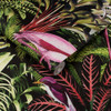 Graham & Brown Midnight Wallpaper - 112193 - Tropic
