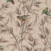 Little Greene Great Ormond St Wallpaper - 0251GOCAPPU - Cappuccino