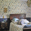 Designers Guild Butterfly Studies Wallpaper - PJD6017/01 - Parchment