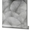 Galerie Palm Leaf Wallpaper - 34508 - Dark Grey