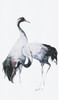 Galerie Painted Crane Mural Wallpaper - 34596 - White / Black