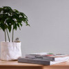 Galerie Plain Texture Wallpaper - MC61001 - Light Grey