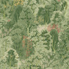 Graham & Brown New Eden Wallpaper - 121465 - Viridis