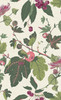 Graham & Brown Craftwork Trail Wallpaper - 130282 - Day