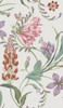Graham & Brown Botanists Scroll Wallpaper - 130297 - Mauve