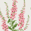Graham & Brown Foxglove Wallpaper - 130307 - Day