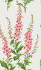 Graham & Brown Foxglove Wallpaper - 130307 - Day