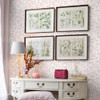 Laura Ashley Shepherd's Purse  Wallpaper - 130108 - Dark Blush