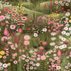 Graham & Brown Glenwhan Wildflower Spring Wallpaper Roll