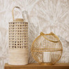 Wide Fan Wallpaper - HZ62038 - Beige / Cream / Metallic