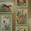 Holden Decor Tropical Frames wallpaper gold animal illustrations in framed panels with botanical detail