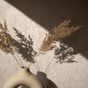 concrete look wallpaper feature wall with decorative vase and natural styling