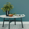 painted textured wallpaper in teal room with table and plant