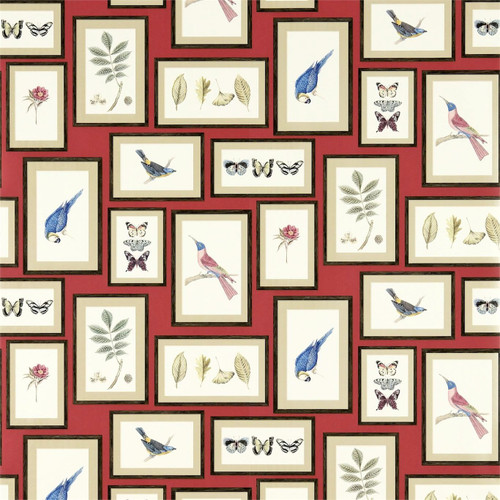 Sanderson Picture Gallery Wallpaper - 213398 - Red / Multi