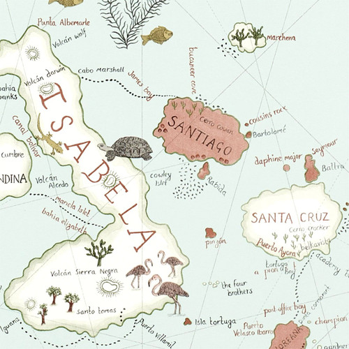 Sanderson Galapagos Wallpaper - 213364 - Ocean Blue