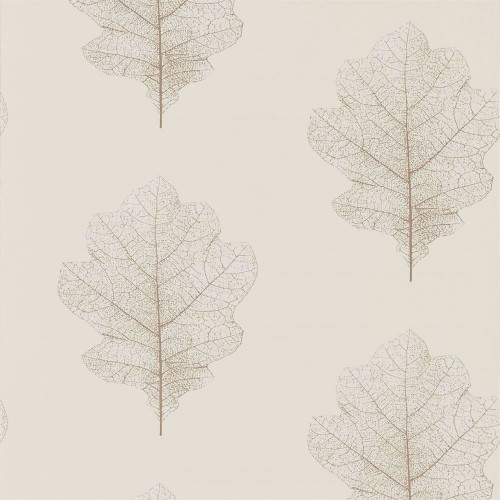 Sanderson Oak Filigree Wallpaper - 215699 - Milk / Pearl