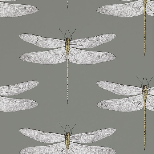 Harlequin Demoiselle Wallpaper 111242 Graphite / Almond